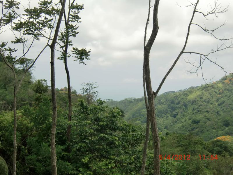 0 bed Lot/Land For Sale in Uvita,  - 1